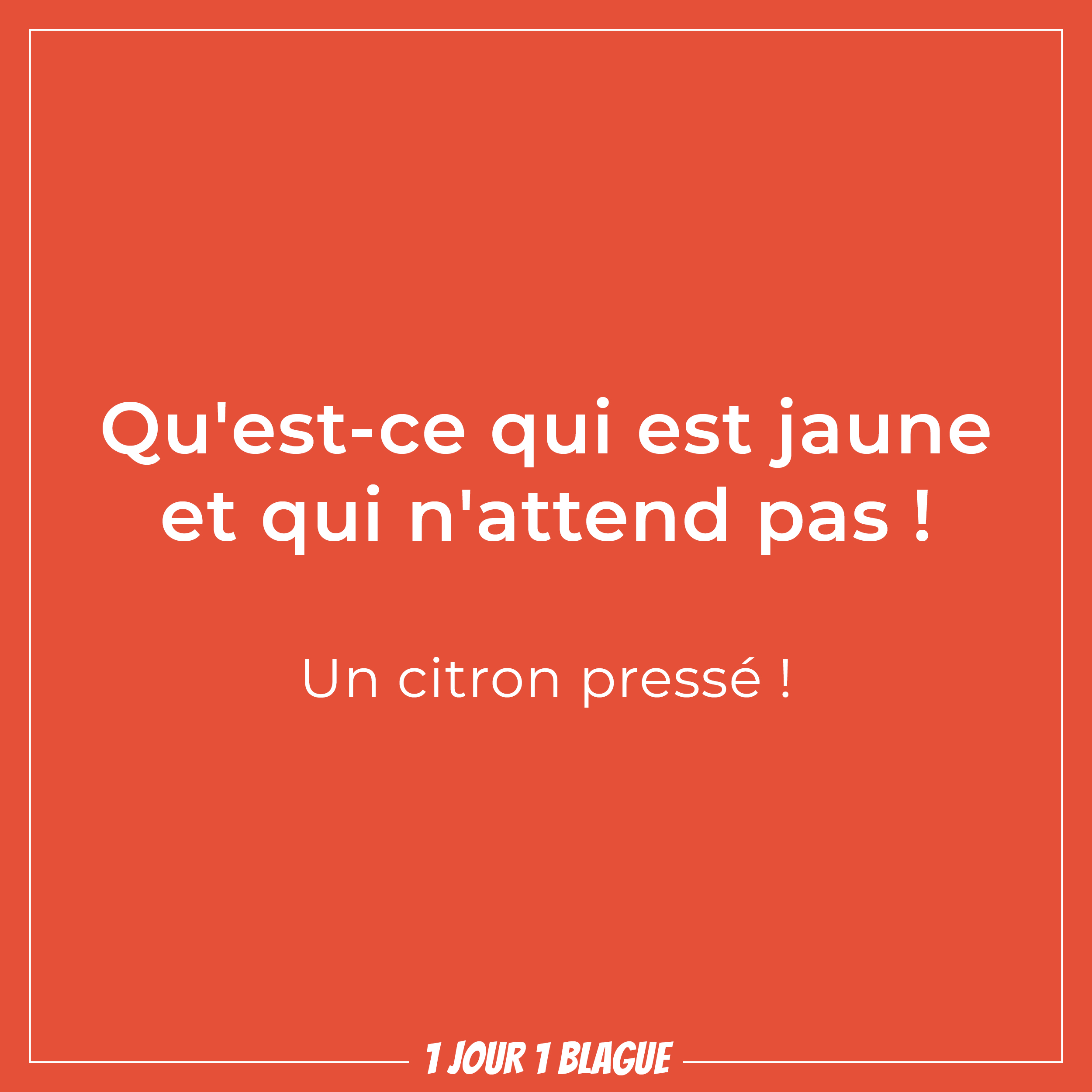 1 jour 1 blague Qu