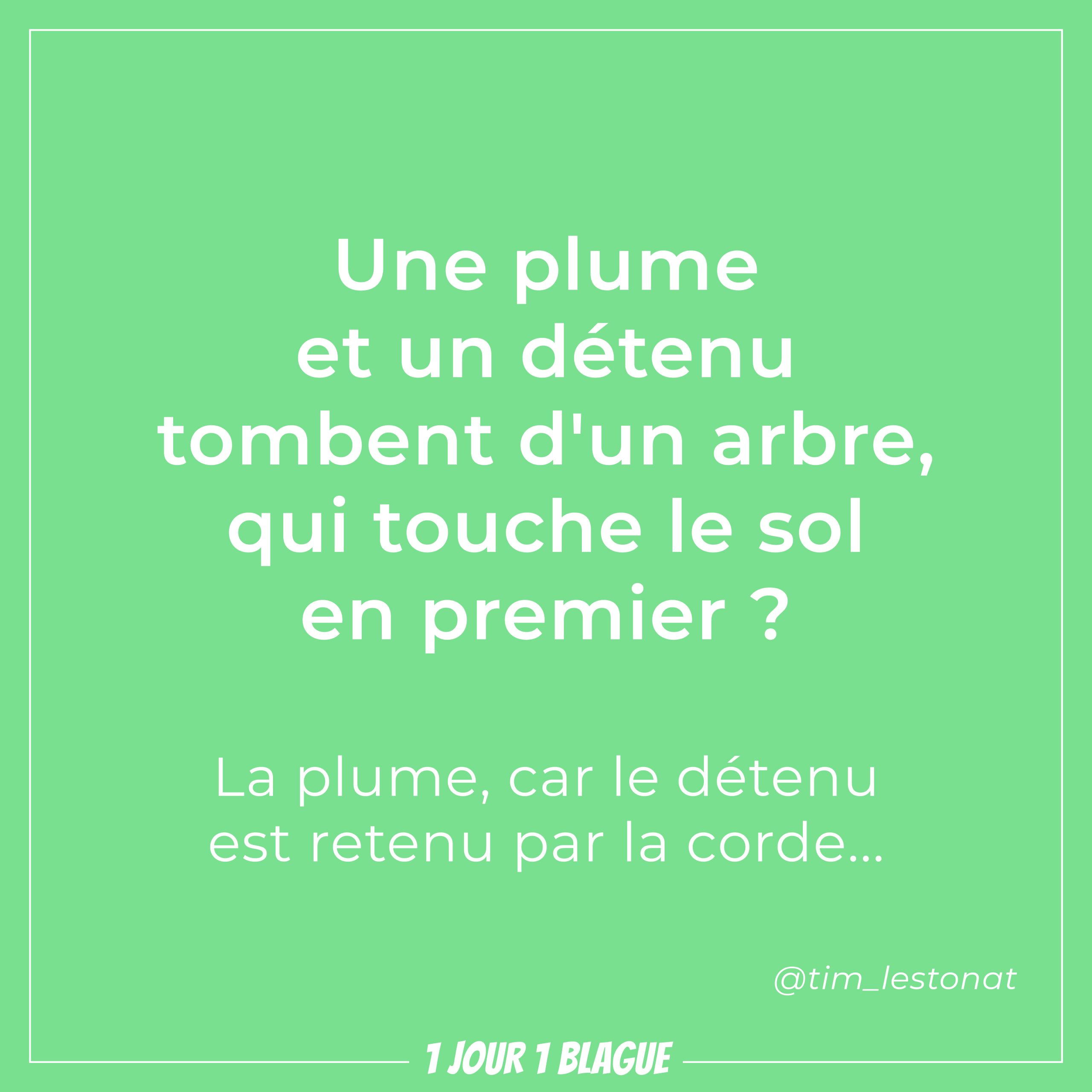 1 jour 1 blague | Une plume et un détenu tombent dun arbre, qui touche le  sol en premier ?