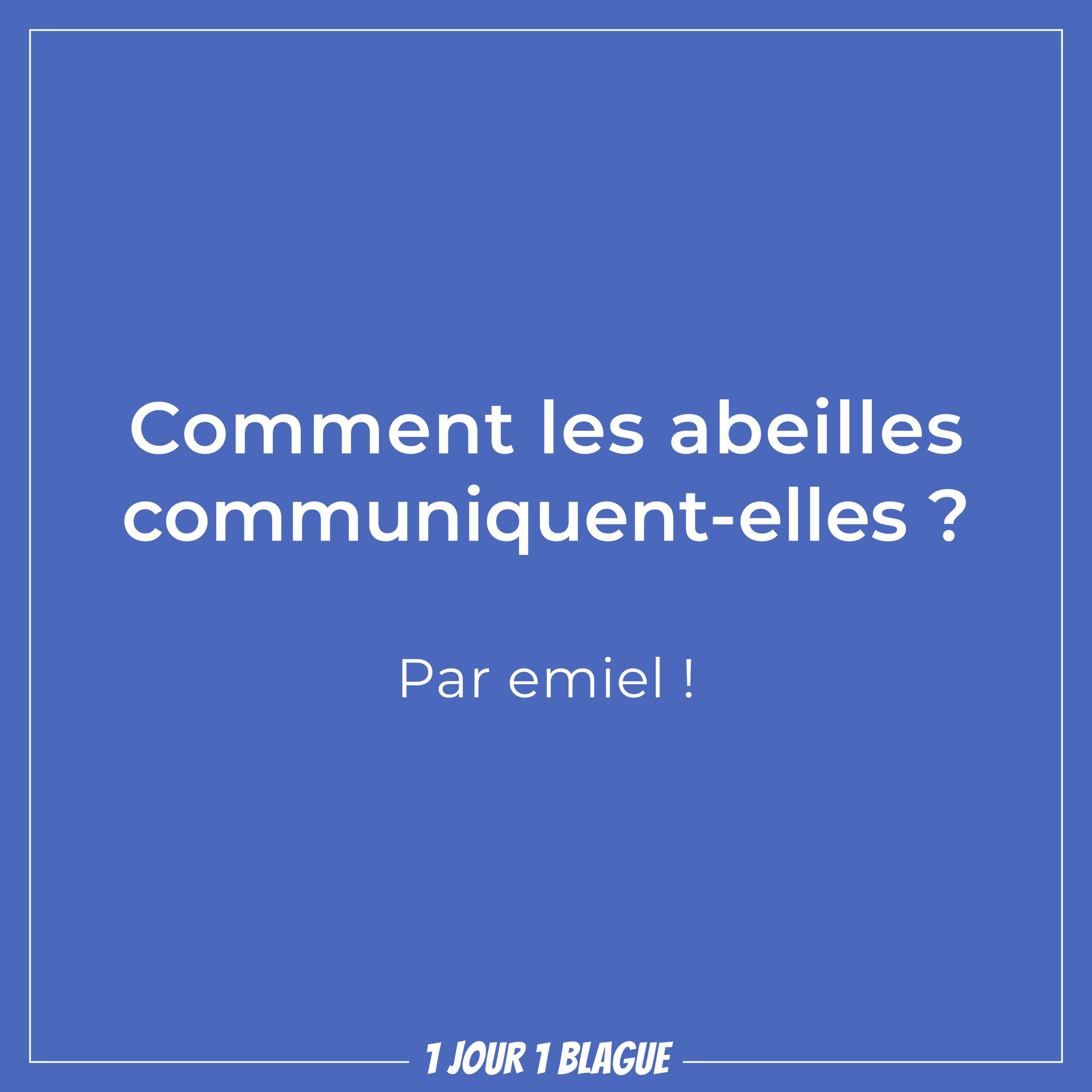 1 jour 1 blague Comment les abeilles communiquentelles