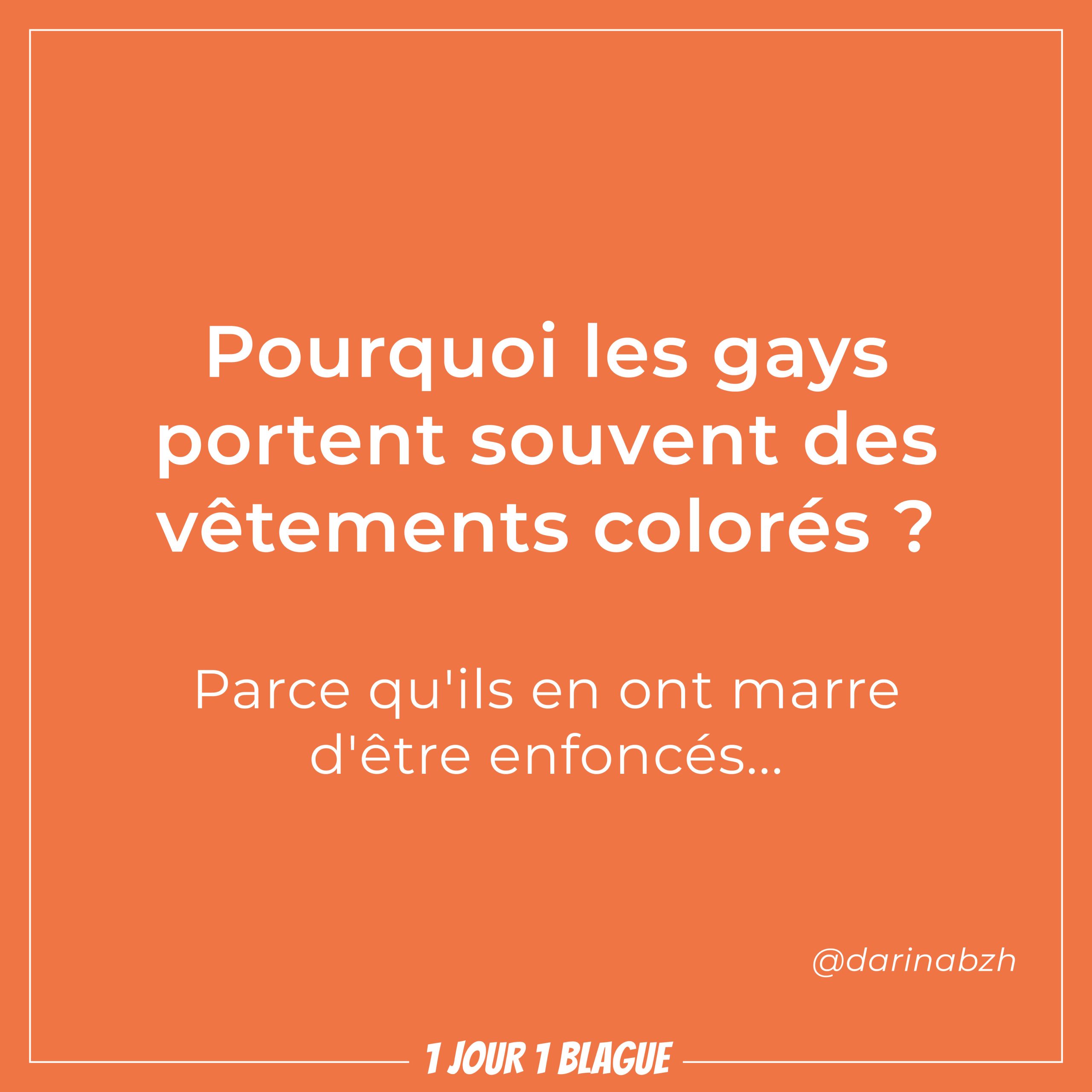 1 jour 1 blague Pourquoi les gays portent souvent des vêtements colorés